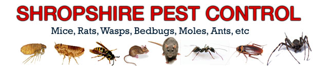 Shropshire pest control